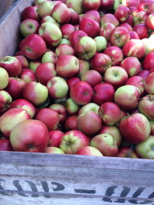 Organic apples form Tasmania: so gooood!