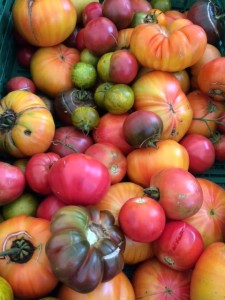 The best tomatoes from all shapes and colours.